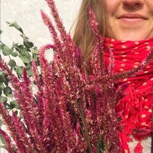 Meet your Posher, Zoe